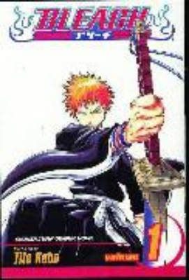 Bild von Bleach Volume 1