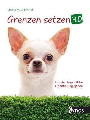 Bild von Grenzen setzen 3.0 (eBook)