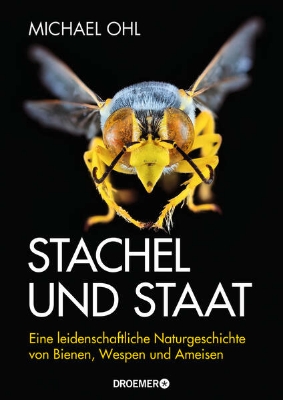 Bild von Stachel und Staat