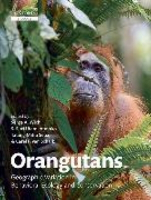 Bild von Orangutans (eBook)