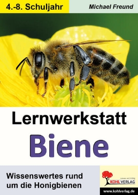 Bild von Lernwerkstatt Biene