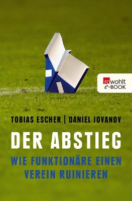 Bild von Der Abstieg (eBook)