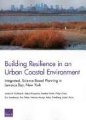 Bild von Building Resilience in an Urban Coastal Environment