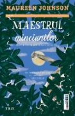 Bild von Maestrul minciunilor (eBook)