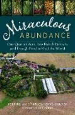 Bild von Miraculous Abundance (eBook)