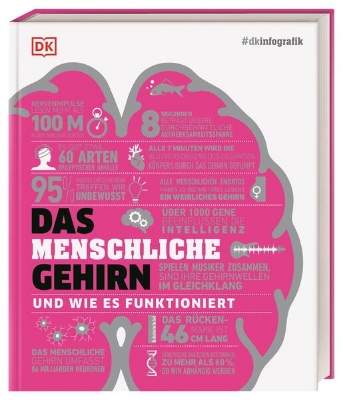 Bild zu #dkinfografik. Das menschliche Gehirn und wie es funktioniert