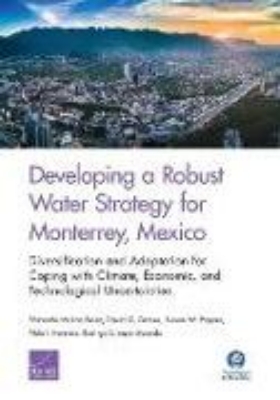 Bild von Developing a Robust Water Strategy for Monterrey, Mexico