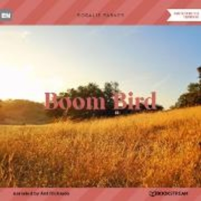 Bild zu Boom Bird (Audio Download)