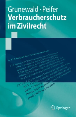 Bild von Verbraucherschutz im Zivilrecht (eBook)