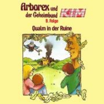 Bild von 09: Qualm in der Ruine (Audio Download)