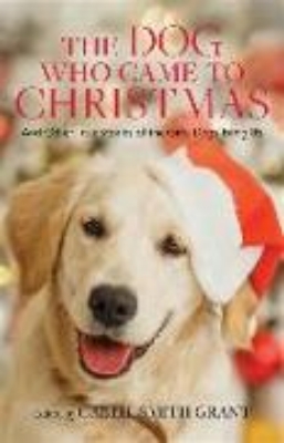 Bild zu The Dog Who Came to Christmas - And Other True Stories of the Gifts Dogs Bring Us