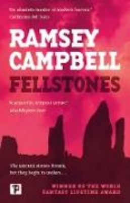 Bild zu Fellstones (eBook)