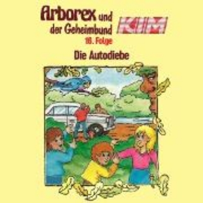 Bild von 16: Die Autodiebe (Audio Download)