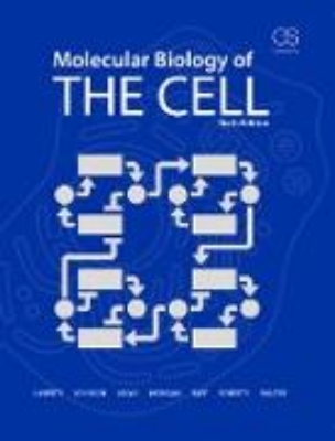 Bild zu Molecular Biology of the Cell (eBook)