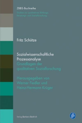 Bild zu Sozialwissenschaftliche Prozessanalyse (eBook)