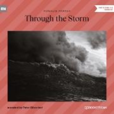 Bild zu Through the Storm (Audio Download)