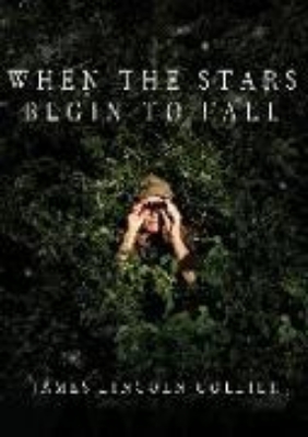 Bild zu When the Stars Begin to Fall (eBook)