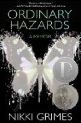 Bild von Ordinary Hazards (eBook)