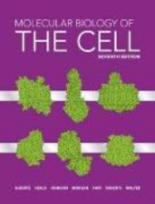 Bild zu Molecular Biology of the Cell