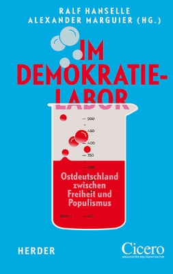 Bild von Im Demokratielabor