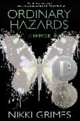 Bild von Ordinary Hazards