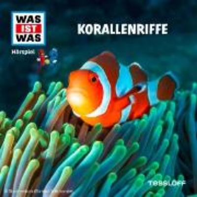 Bild von Korallenriffe (Audio Download)