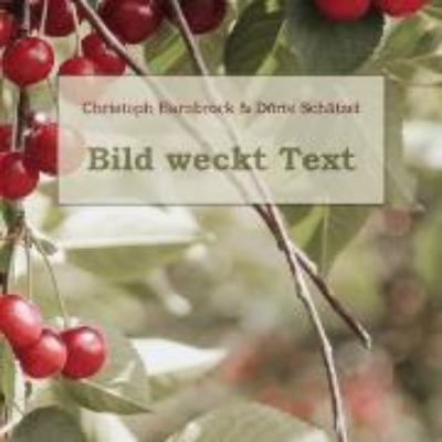 Bild von Bild weckt Text (eBook)