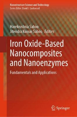 Bild von Iron Oxide-Based Nanocomposites and Nanoenzymes (eBook)