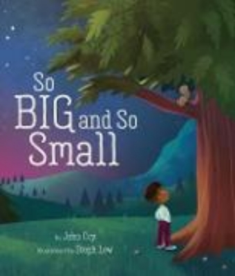 Bild zu So Big and So Small (eBook)