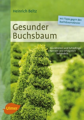 Bild von Gesunder Buchsbaum