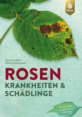 Bild von Rosenkrankheiten und Schädlinge