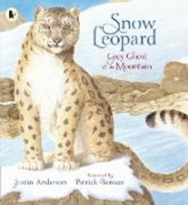 Bild von Snow Leopard: Grey Ghost of the Mountain