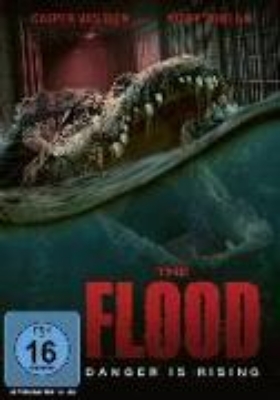 Bild von The Flood