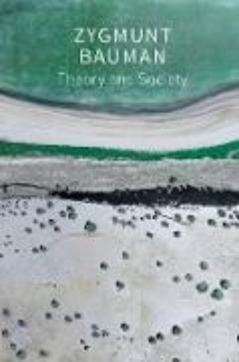 Bild von Theory and Society (eBook)