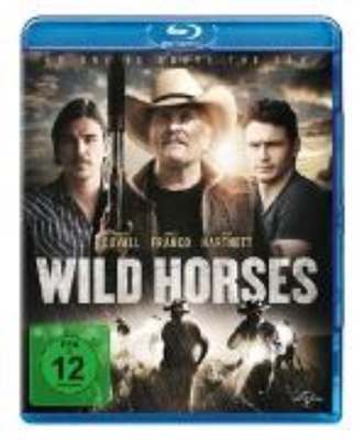 Bild von Wild Horses