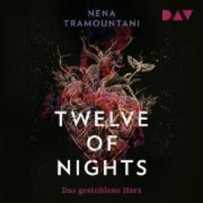 Bild von Twelve of Nights - Das gestohlene Herz (Audio Download)