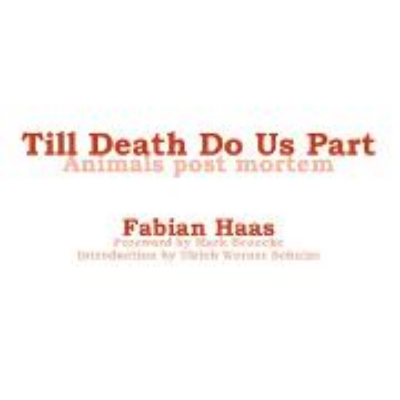 Bild zu Till Death Do Us Part (eBook)