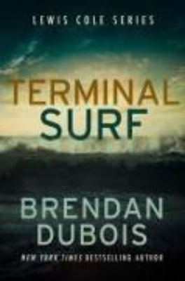 Bild zu Terminal Surf