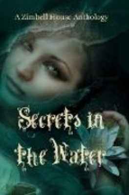 Bild von Secrets in the Water (eBook)