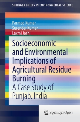 Bild von Socioeconomic and Environmental Implications of Agricultural Residue Burning (eBook)