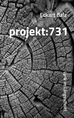 Bild von projekt: 731