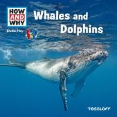 Bild von Whales And Dolphins (Audio Download)