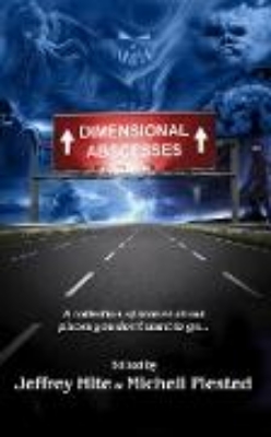 Bild von Dimensional Abscesses (eBook)