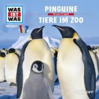 Bild von 28: Pinguine / Tiere im Zoo (Audio Download)