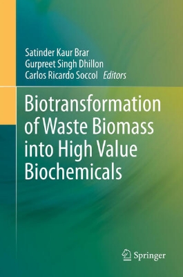 Bild von Biotransformation of Waste Biomass into High Value Biochemicals (eBook)