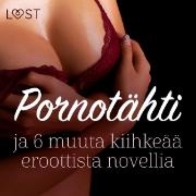 Bild von Pornotähti ja 6 muuta kiihkeää eroottista novellia (Audio Download)