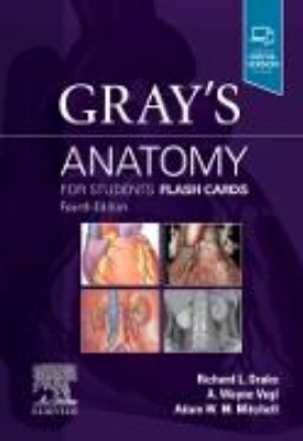 Bild von Gray's Anatomy for Students Flash Cards