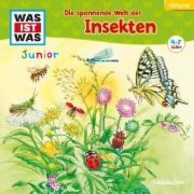 Bild von 33: Die spannende Welt der Insekten (Audio Download)