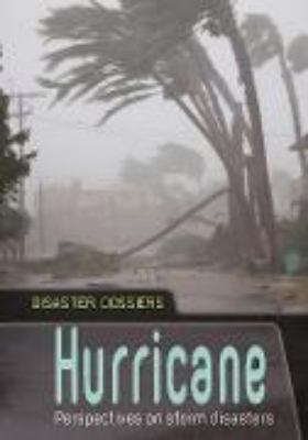 Bild von Hurricane (eBook)