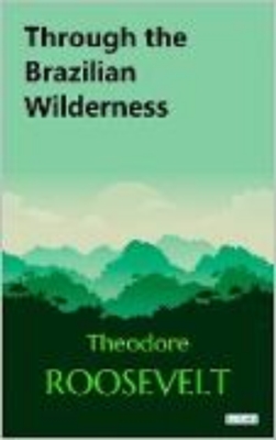 Bild von Through the Brazilian Wilderness (eBook)